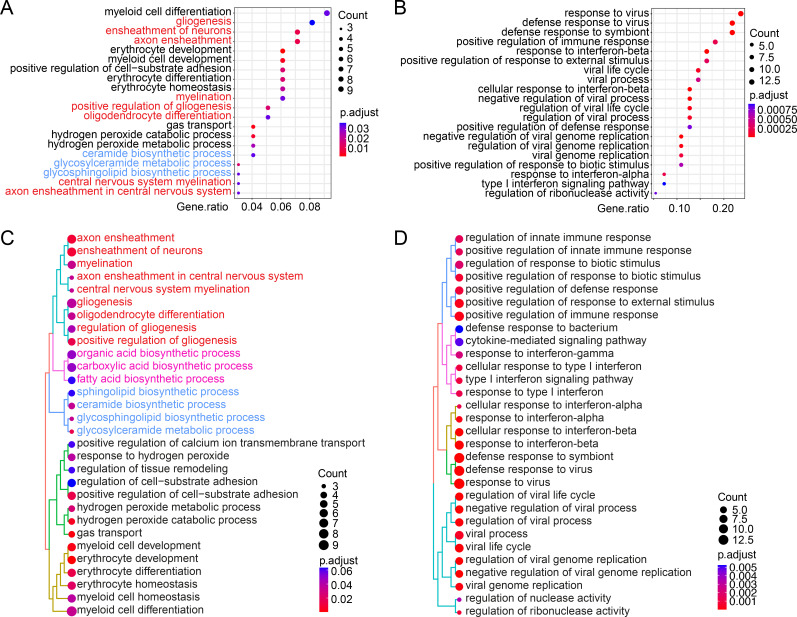 Figure 2—figure supplement 2.