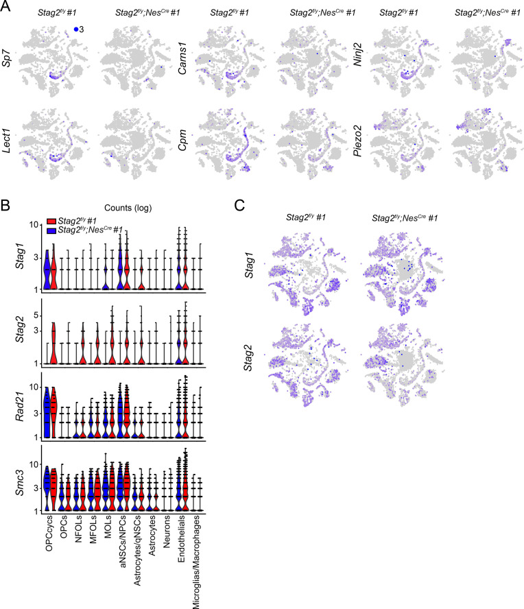 Figure 4—figure supplement 3.