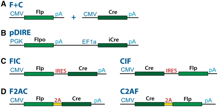 Figure 2.