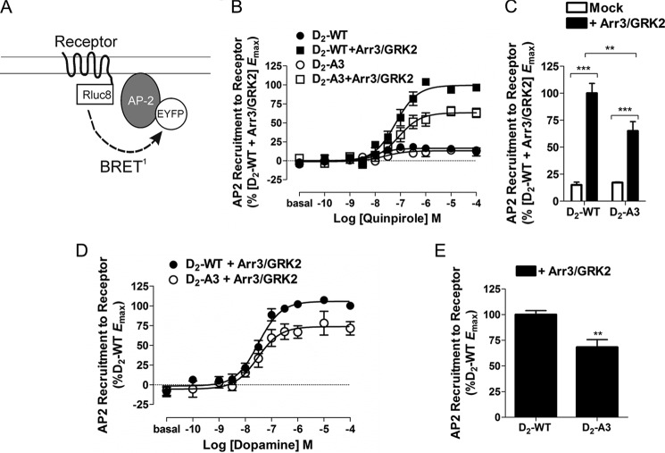 FIGURE 10.