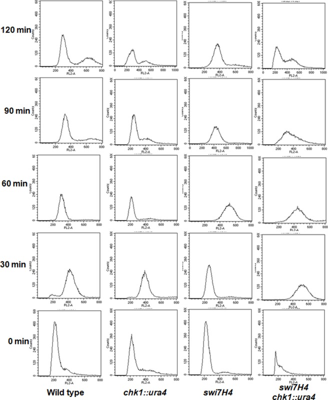 Fig 3