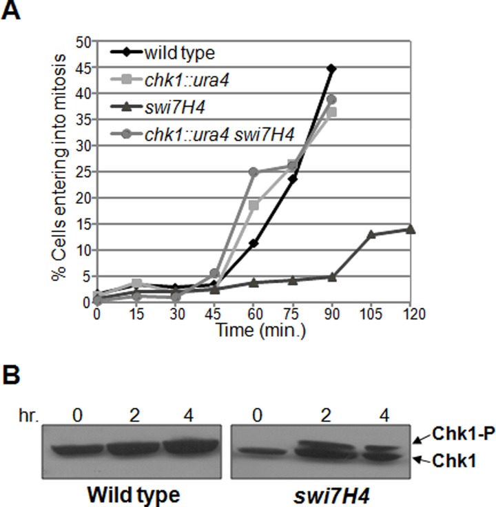 Fig 4