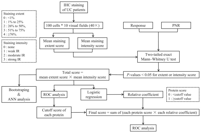 Figure 1