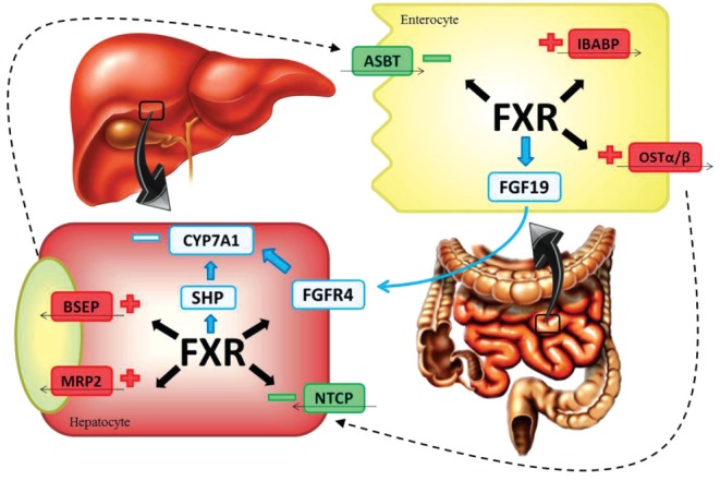 Figure 2)