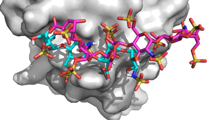 FIGURE 13