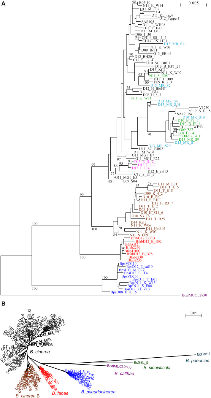 FIGURE 1