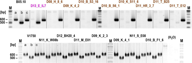 FIGURE 2