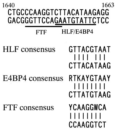 FIG. 6