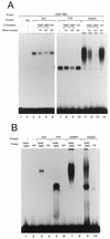 FIG. 7