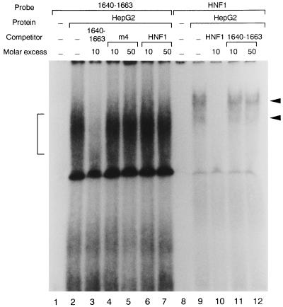 FIG. 5