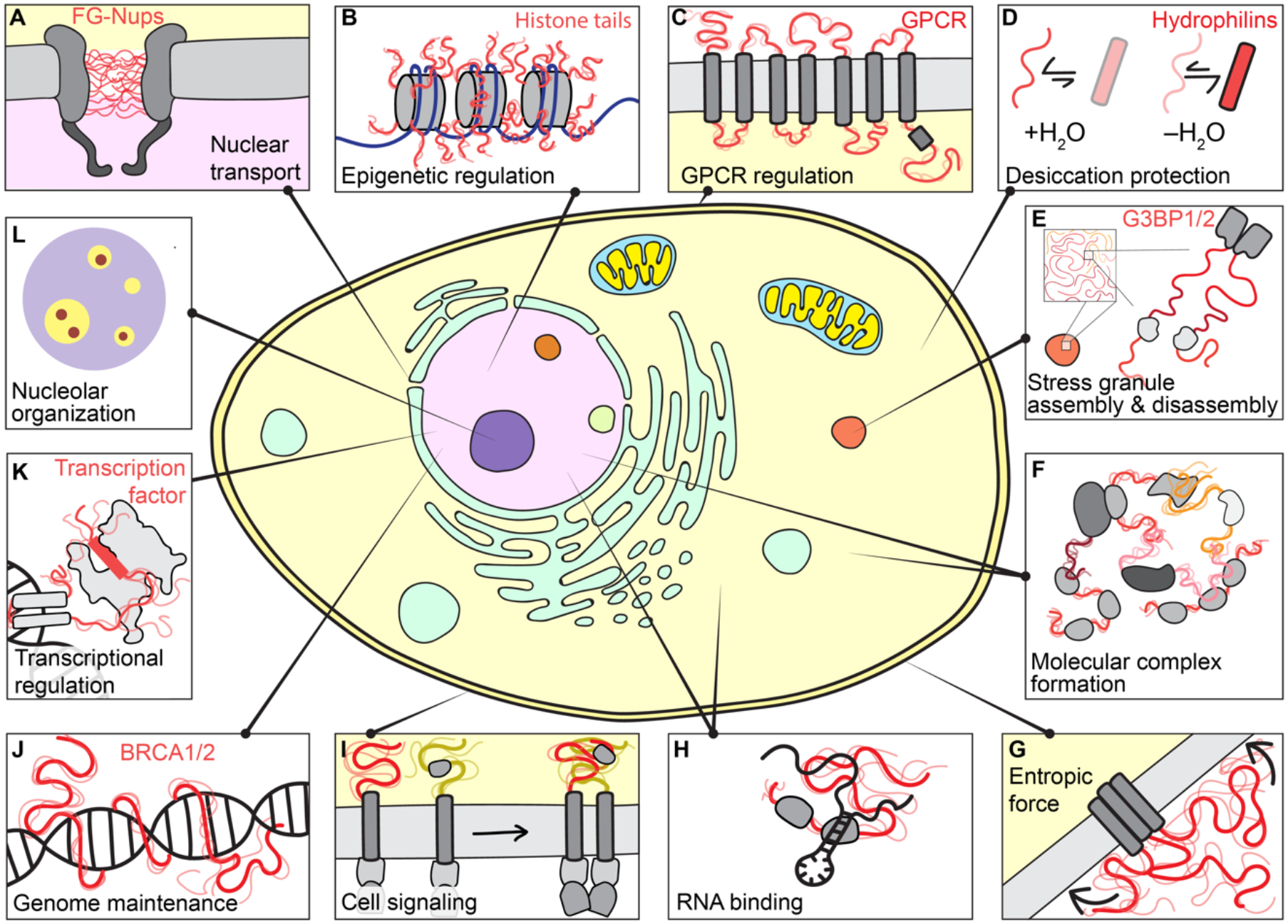 Figure 1: