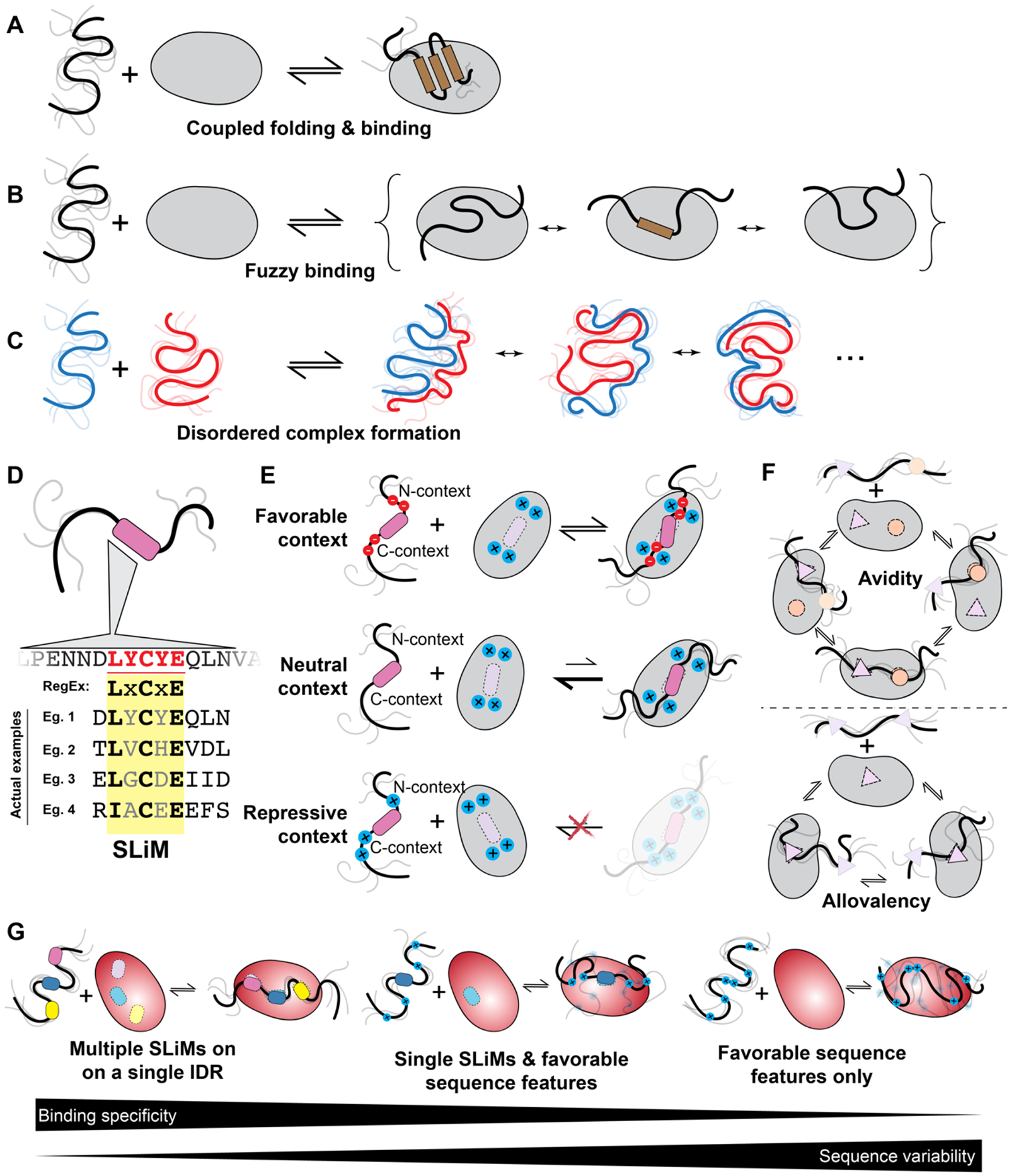 Figure 4: