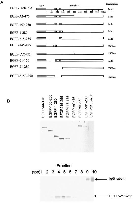 FIG. 8.