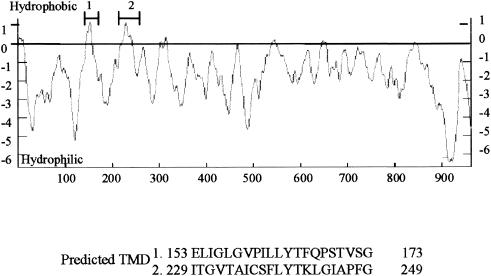 FIG. 7.