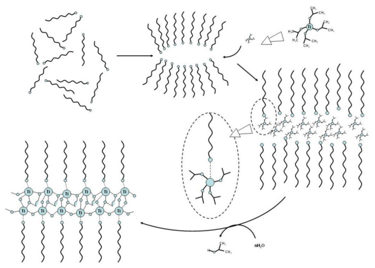 Scheme 3