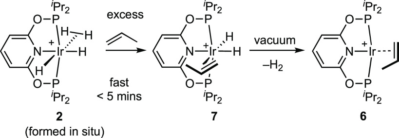 Scheme 4