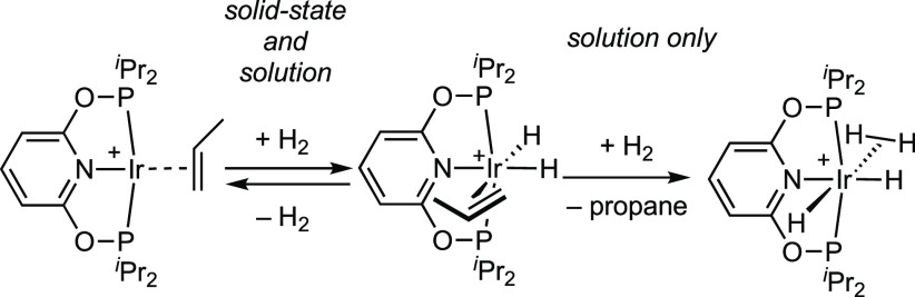 Scheme 2