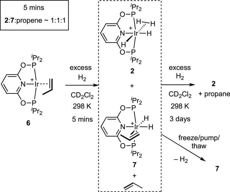 Scheme 5