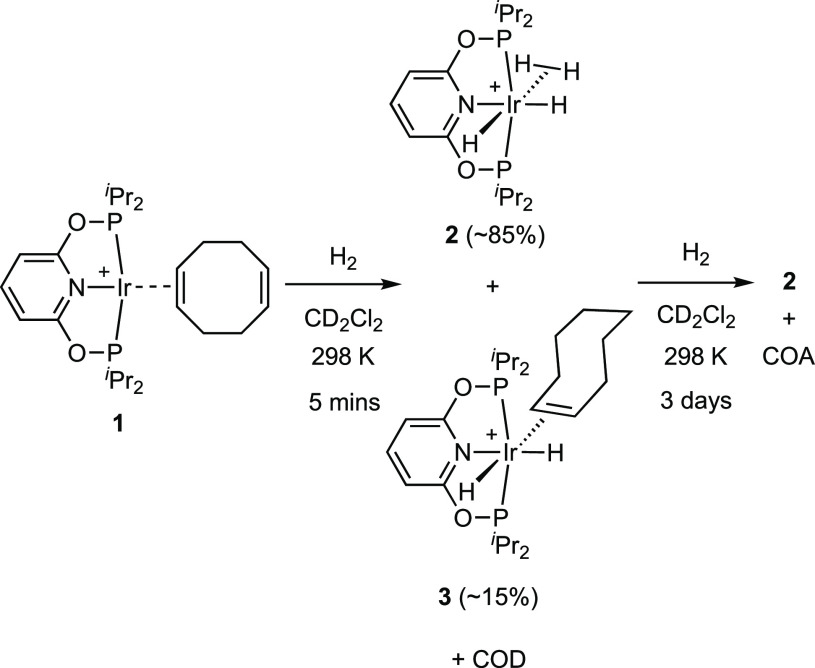 Scheme 3