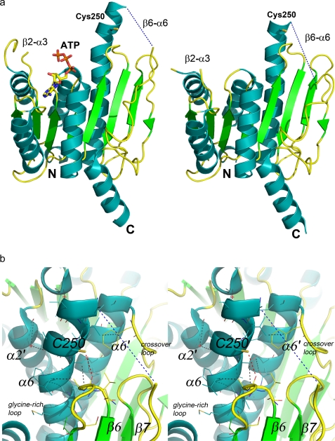 FIGURE 4.