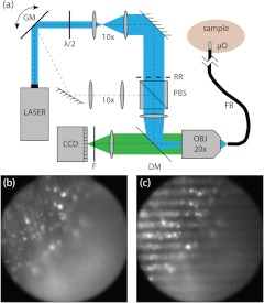 Fig. 1