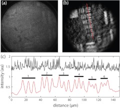 Fig. 2