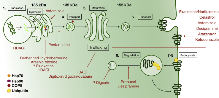 Figure 4