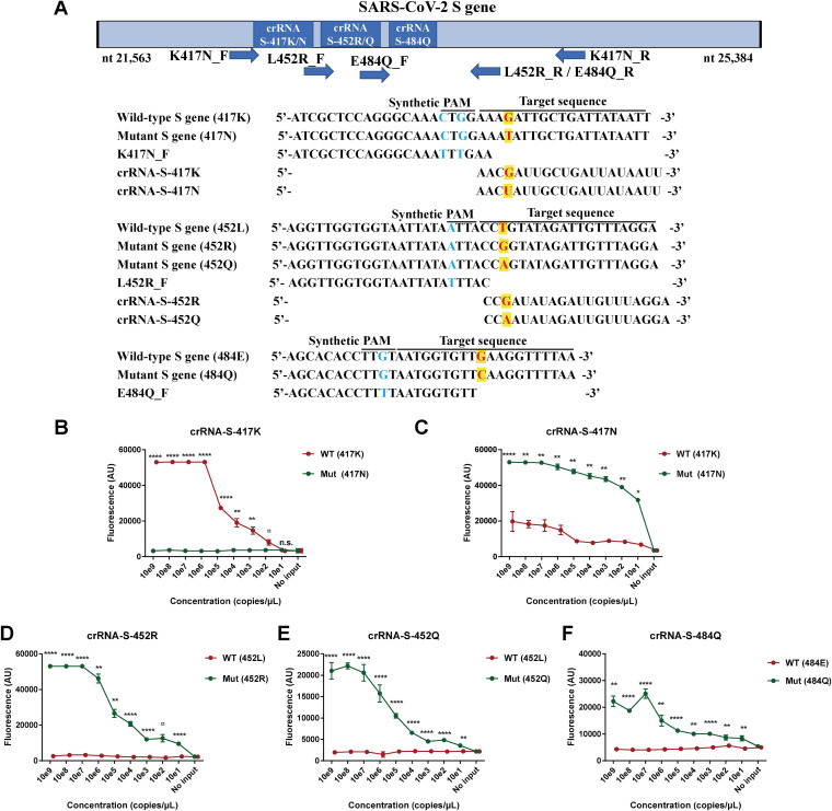 FIG 6