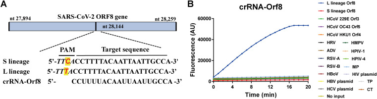 FIG 4