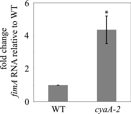 FIG. 5.