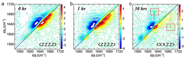 Figure 20