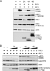 FIG 5