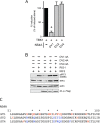 FIG 10