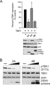 FIG 6