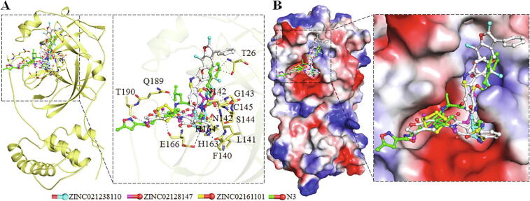 Fig. 2