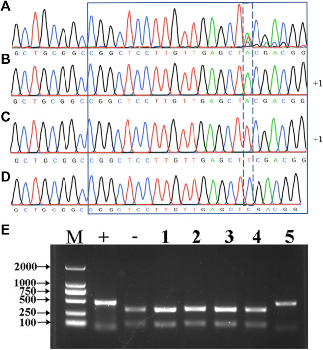 FIGURE 3