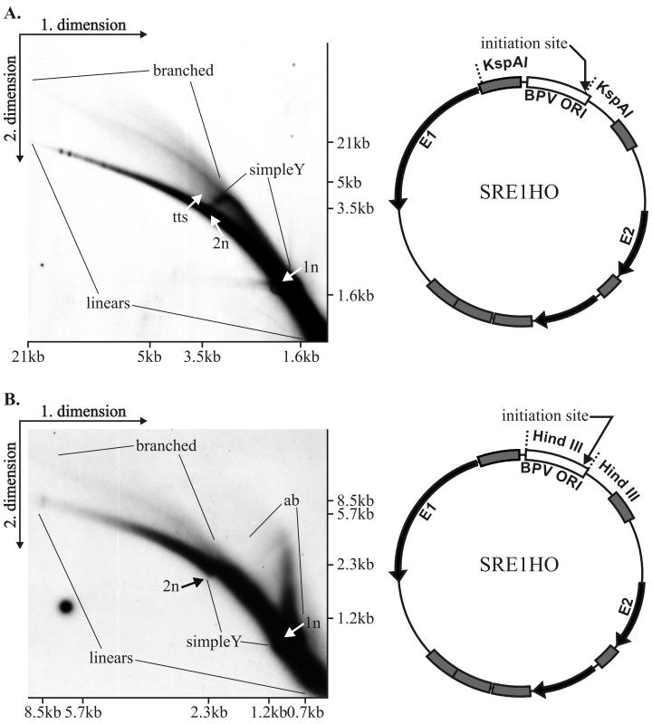 FIG. 5.