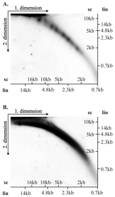 FIG. 7.