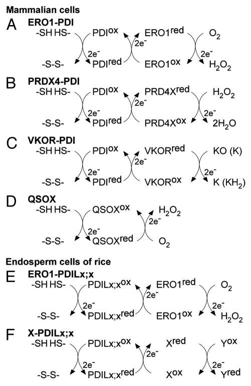 Figure 1.