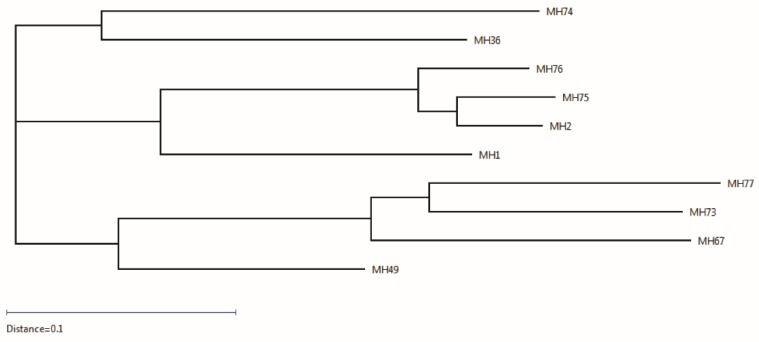 Figure 2