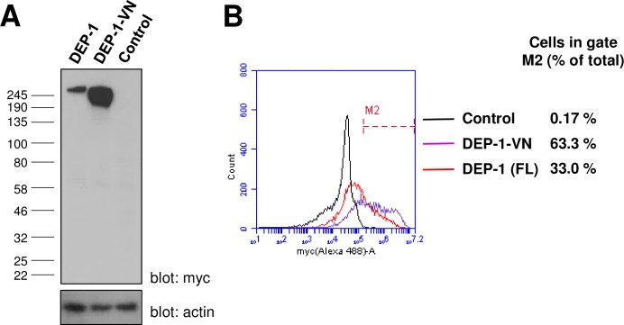 Fig 8