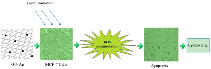 Figure 13