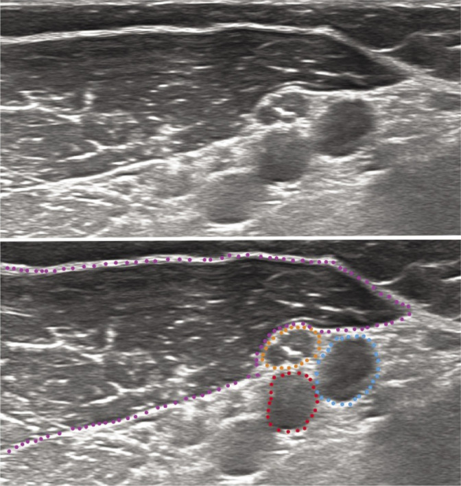 Fig. 9.