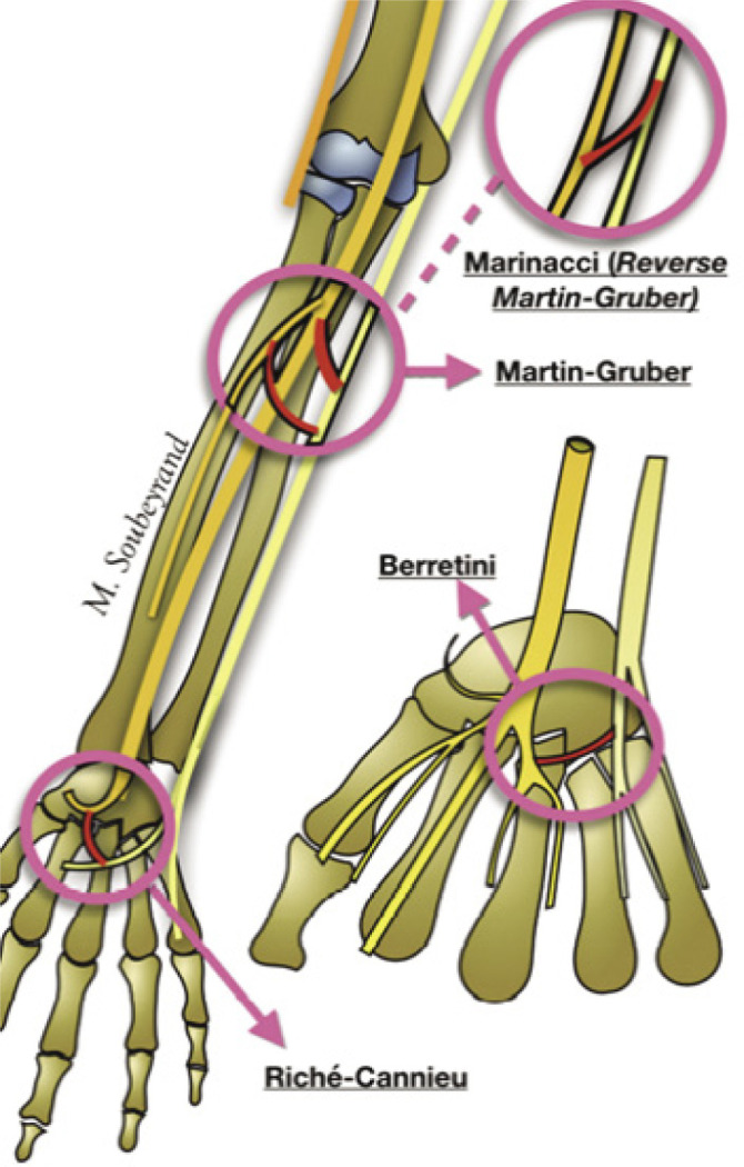 Fig. 8.