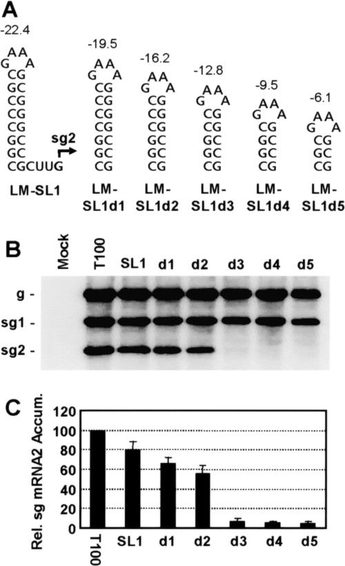 FIG. 2.