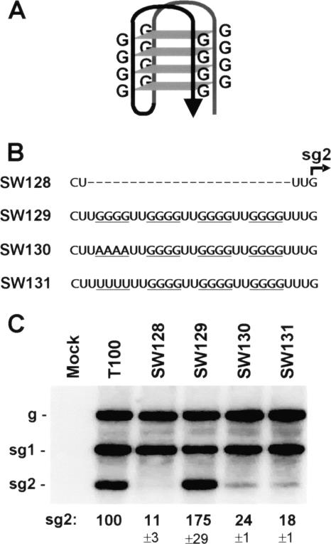 FIG. 7.