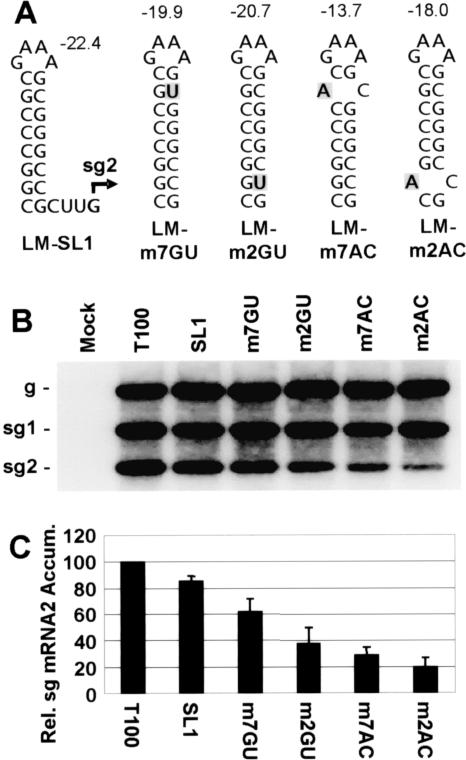 FIG. 4.