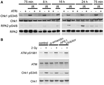 Figure 6.