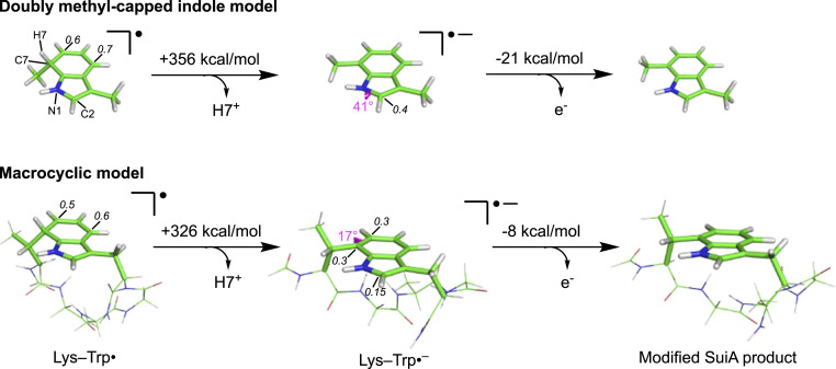 Fig. 4.