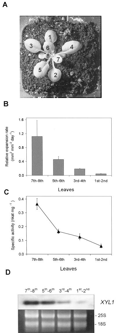 Figure 7